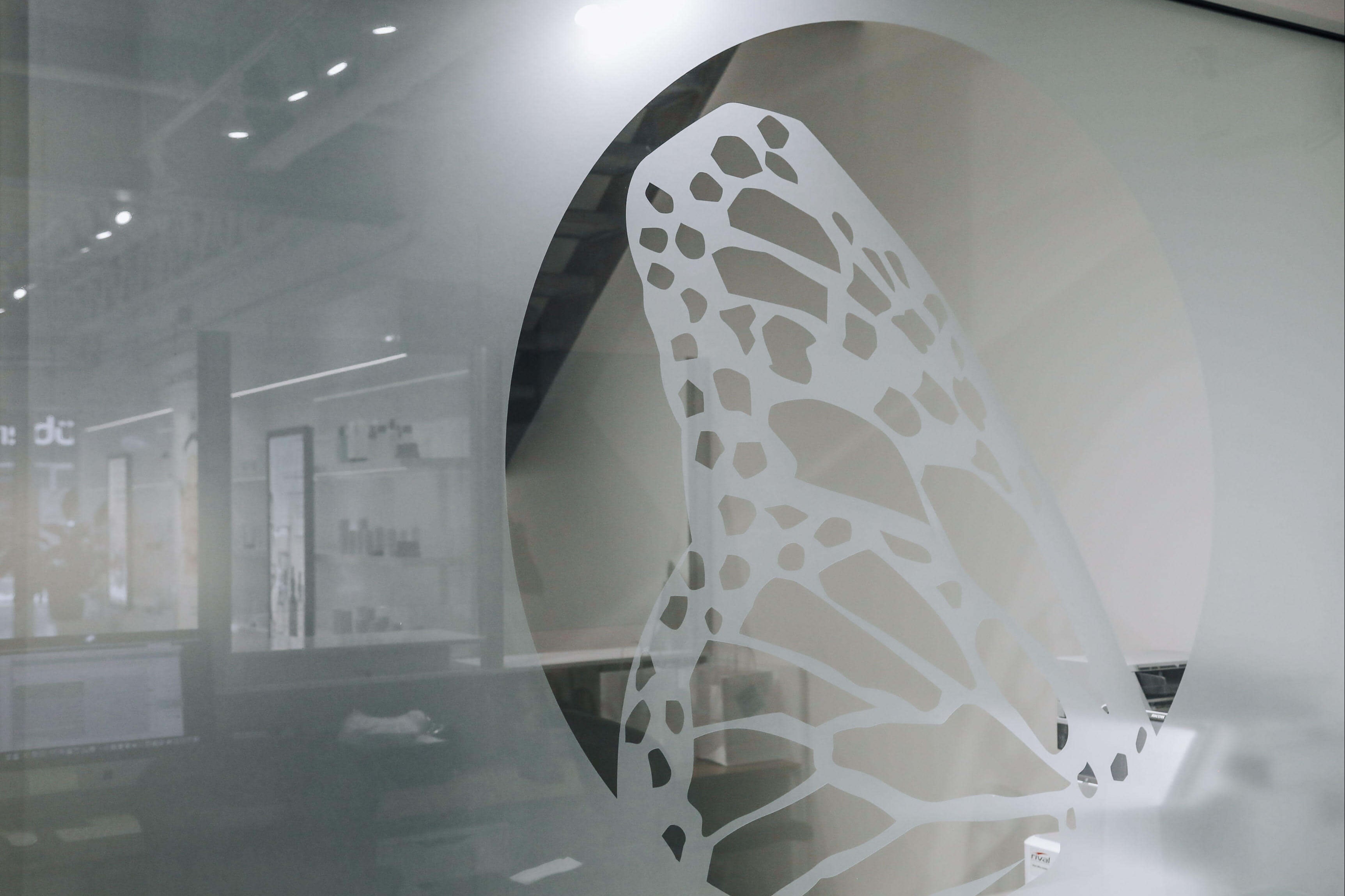 A frosted glass partition features a clear circular area showcasing a stylized white butterfly wing design.